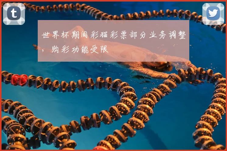 世界杯期间彩猫彩票部分业务调整，购彩功能受限