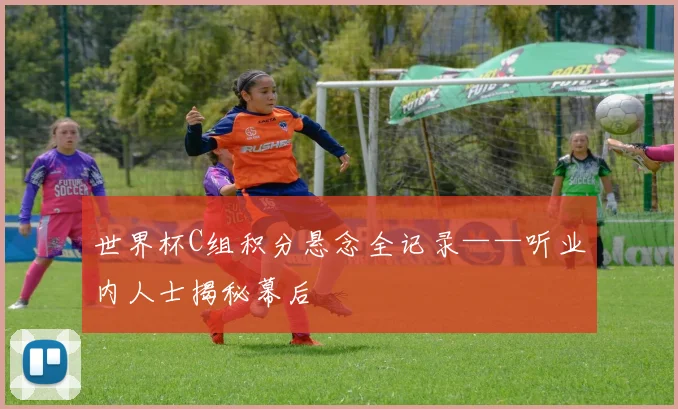 世界杯C组积分悬念全记录——听业内人士揭秘幕后