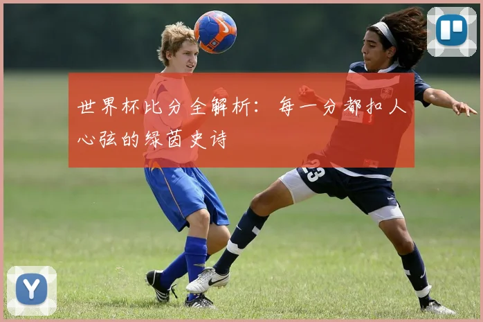 世界杯比分全解析：每一分都扣人心弦的绿茵史诗