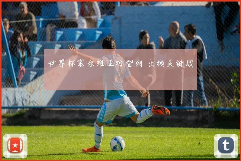 世界杯塞尔维亚对智利 出线关键战
