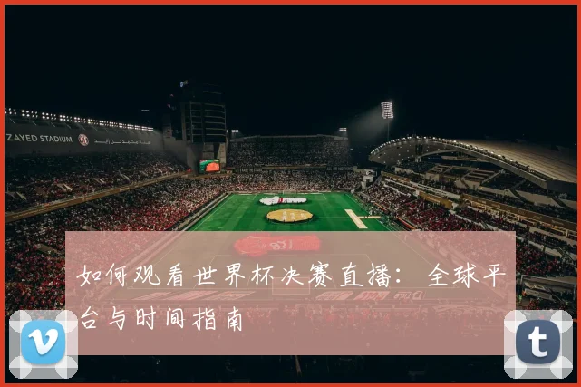 如何观看世界杯决赛直播：全球平台与时间指南