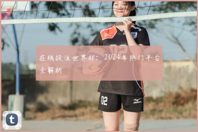 在线投注世界杯：2024年热门平台全解析