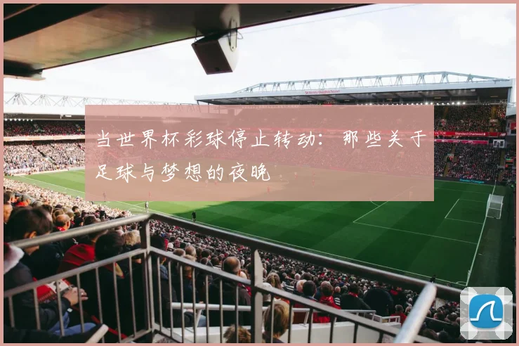 当世界杯彩球停止转动：那些关于足球与梦想的夜晚